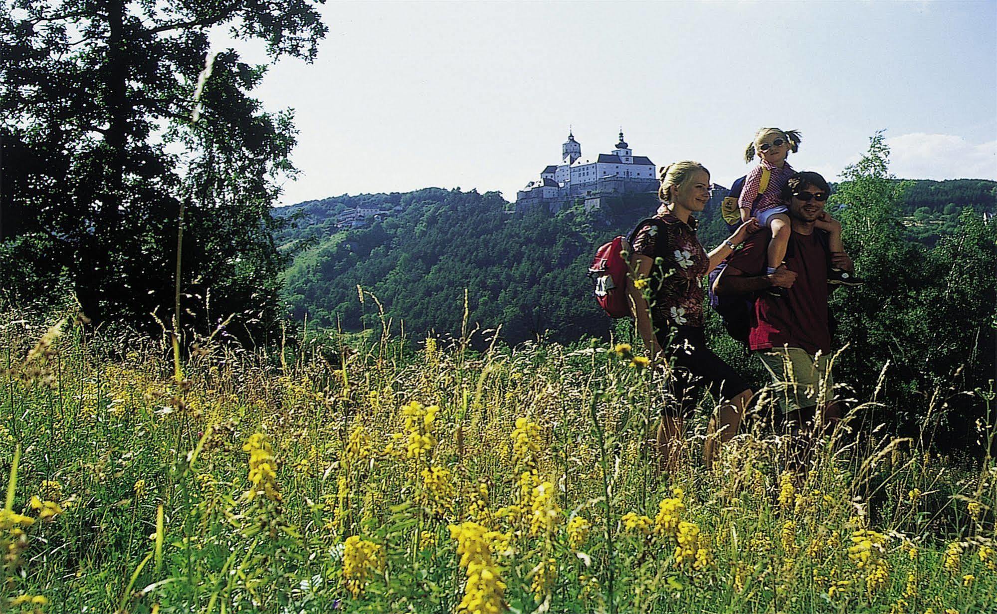 Beerenhof Wiesen Mattersburg Luaran gambar